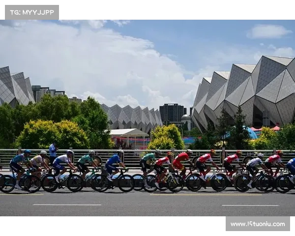 青海体育几大赛事(青海省体育赛事管理中心)